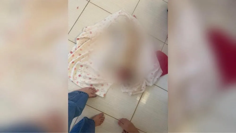  Tutor cobra justiça após cachorro morrer esquecido dentro de veículo de pet shop em Parauapebas